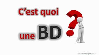 ✏️ C'est quoi la Bande dessinée ? Apprenez son histoire et les différe