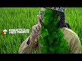 Ras Muhamad - Bambu Keras