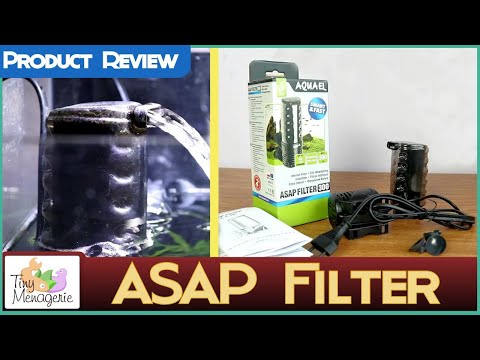 Honest Review of the ASAP filter from Aquael.
