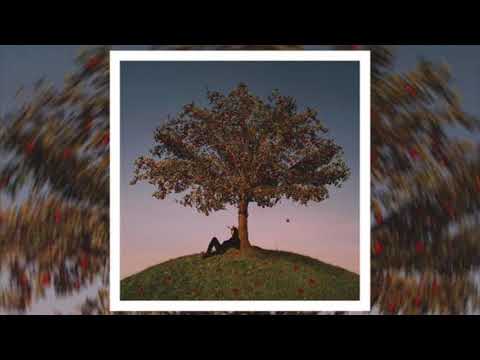 Slowthai, A$AP Rocky - MAZZA (Instrumental)