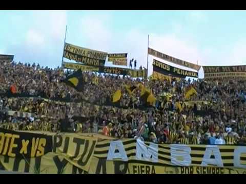 "BARRA AMSTERDAM PEÑAROL - (POBRE DIABLA - DON OMAR)" Barra: Barra Amsterdam &bull; Club: Peñarol &bull; País: Uruguay