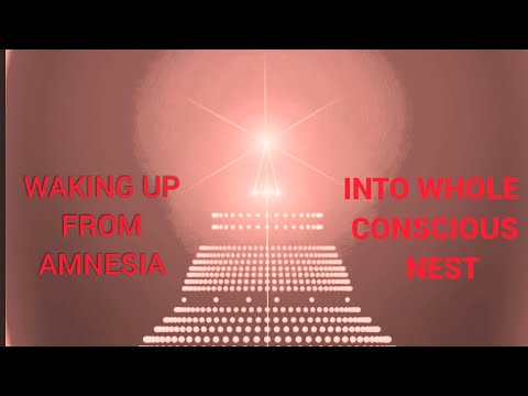 ANESTHESIA & CONSCIOUSNESS w Dr  Stuart Hameroff