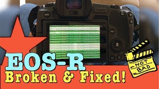 [閒聊] Canon R8當機