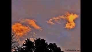 Emmylou Harris - &quot;Like an Old Fashioned Waltz&quot;