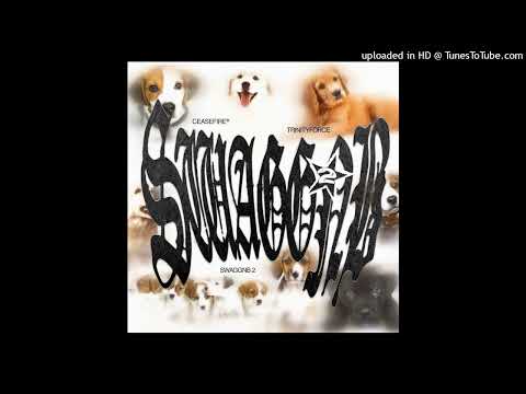 CEASEFIRE® x trinityforce - SWAGGNB 2