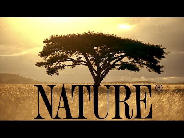 ULTIMATE PBS NATURE THEME VIDEO