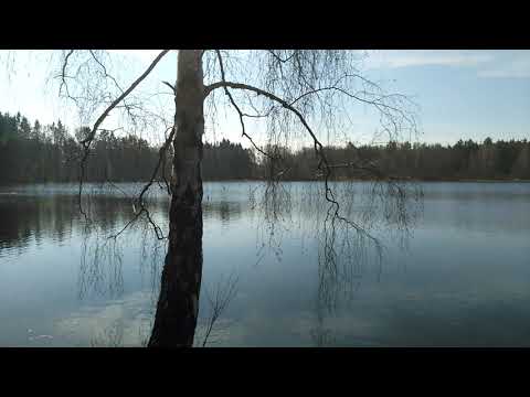 Einige Stunden um den Kleinen Filzteich Erzgebirge