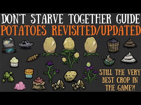 Don't Starve Together Guide: Potatoes - Giant Crops, Farming & More [Updated/Revisited]