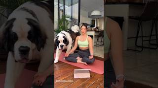 Download lagu Andrea Dian - Yoga Anjing Gede Banget #ratebody #dog #gym #fitness mp3