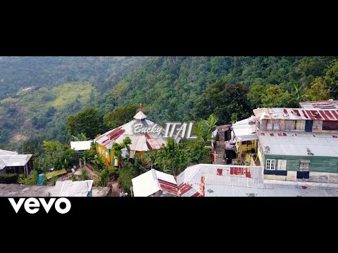 Bucky Ital - Ghetto Man Hustle (Official Music Video)