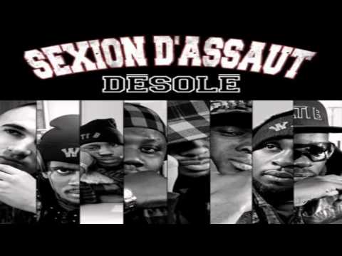 DJ Albani ft Sexion d'Assaut   Désolé  Remix