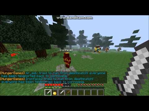 minecraft - the hunger games/w DroNe