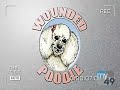 Olive Bridge Entertainment Wounded Poodle 20th Television 2006