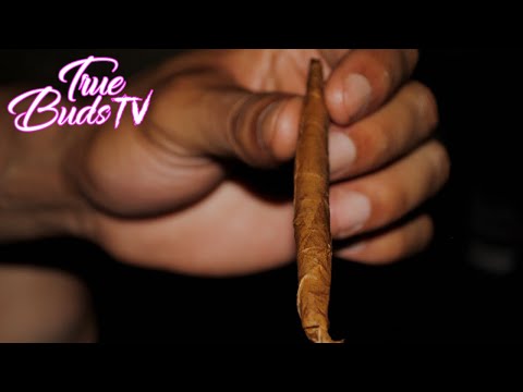 How Two Roll A Dutch Masters Blunt | Ways To Roll A Dutch Masters