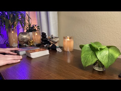 ALL SIGNS! Their LATE NIGHT feelings for you! February 2022