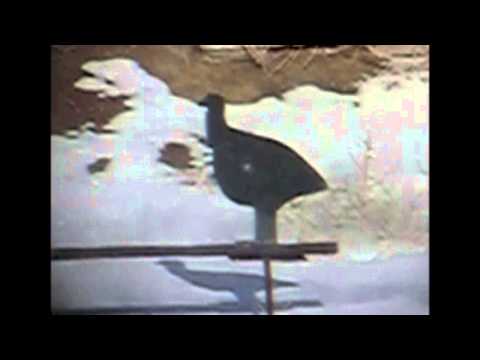 High Power Silhouette Target Video - Preview HD