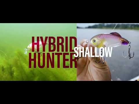 Strike King Hybrid Hunter & Hunter Jr. Diving Crankbait