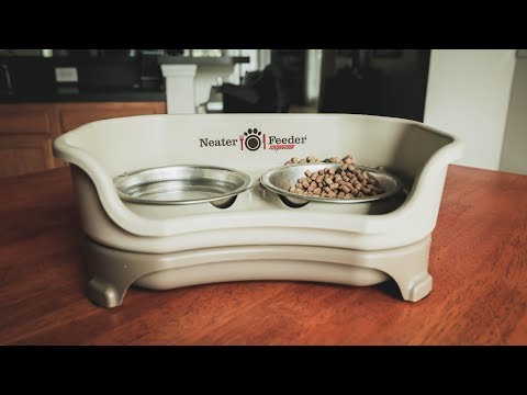 Neater Feeder Review | Best Pet Dishes?