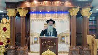 הרב מאיר דוד שמואלי שליט"א - שידור חי יום א' - פרשת נשא תשפ"ו