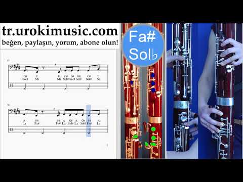 Fagot dersleri Luis Fonsi, Stefflon Don - Calypso Notalar Eğitim um-ih723