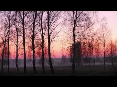 Verlassene Orte Teil 88 - TÜP der GSSD