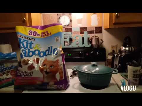 YouTube video about: Where can I buy kit and kaboodle wet cat food?