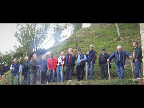 LA SETTIMANA DEL CONTADIN