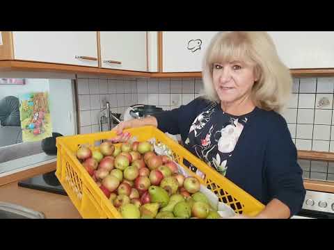 Apfelsaft selber machen ohne Zubehör Thermomix® TM5/TM6