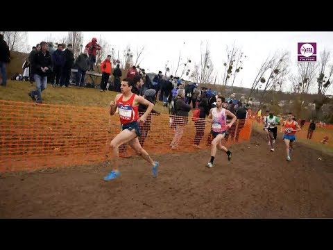 Les Mureaux 2015 : Cross long M (Victoire d'Hassan Chahdi)