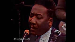 Muddy Waters - You Can&#39;t Lose What You Ain&#39;t Never Had live [Colourised] 1966