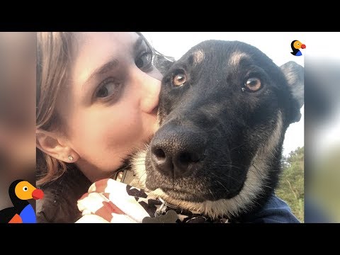 Girl Adopts Street Dog While Traveling In India – DELHI | The Dodo