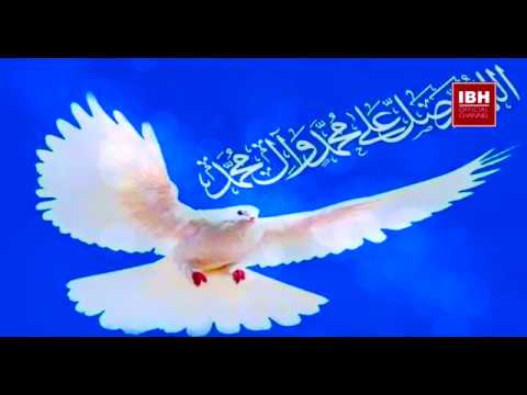 LUTJA 5 - Parzmorja e Madhe