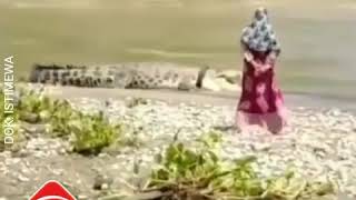 Download lagu Viral, Emak Emak Taklukan Buaya Berkalung Ban, Sang Penakluk Australia Pun Nyerah mp3