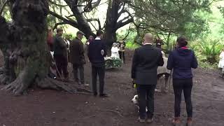 Jumping the Broom