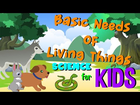 Basic Needs of Living Things | Science for Kids