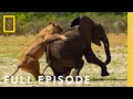 Surviving the Grasslands (Full Episode) | Hostile Planet