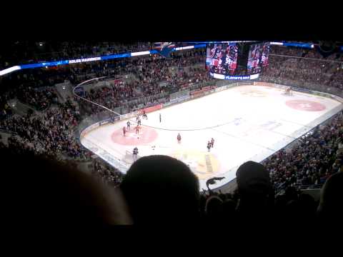 Schlägerei Adler Mannheim vs. Grizzlie Adams Wolfsburg 31.03.2015