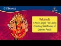 7 Priest Angali Fire Lab By Chanting 1008 Names Of Goddess Angali