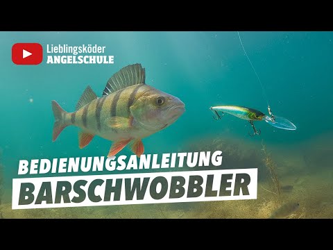 Bedienungsanleitung BARSCHWOBBLER 🎣🔥