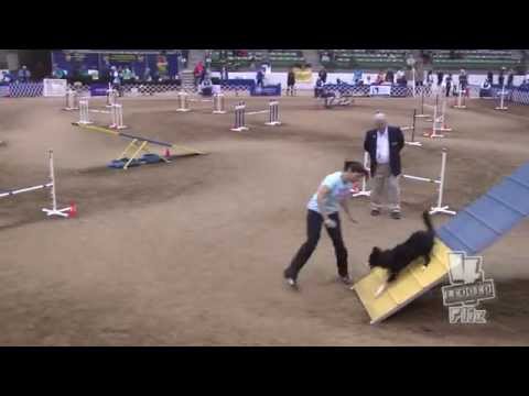 200628 HYBRID AKCNAC2015