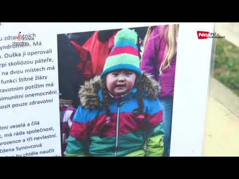 Info Desná 29. týden 2018 (16. - 22. 7. 2018)