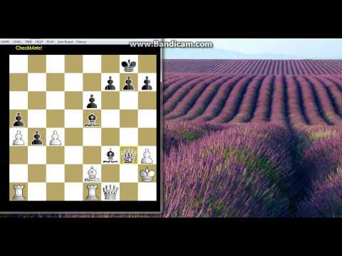 Dodatak  moguce kombinacije iz partije - MOLINARI vs CABRAL-  ( 2 deo) -Pozicija br 10 #  235