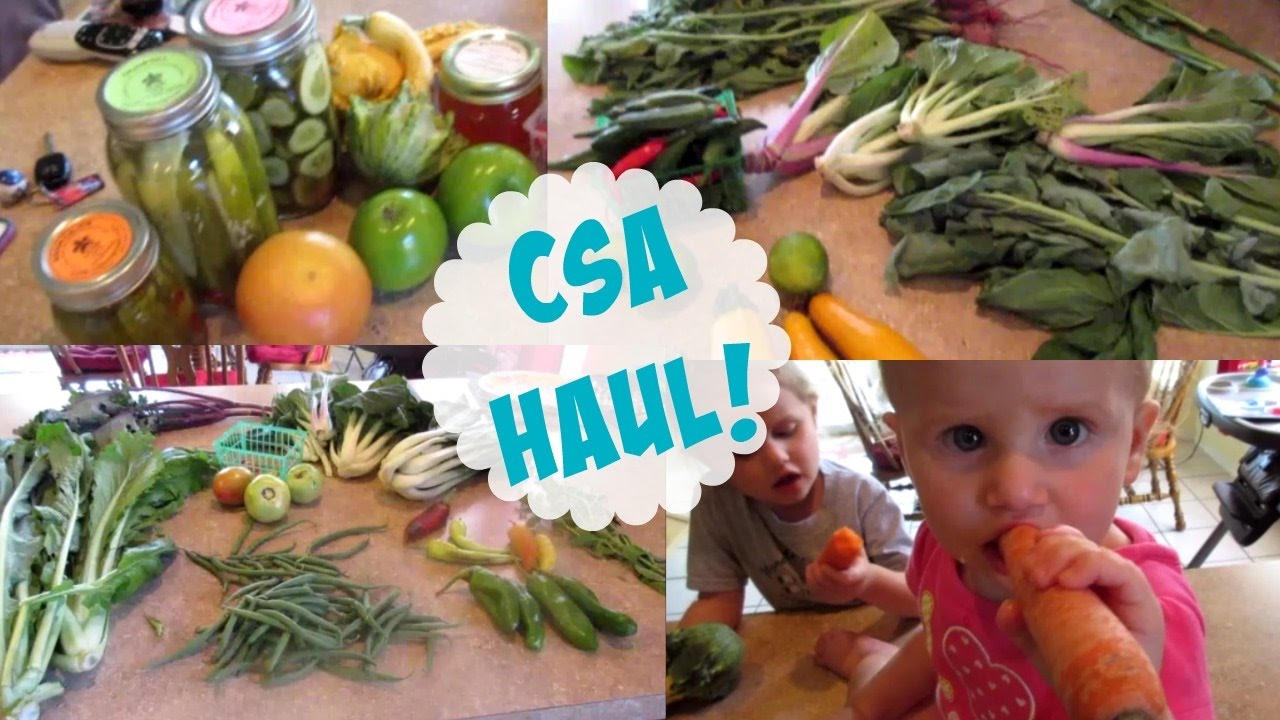 CSA HAUL WEEKS 3 & 5 | FALL 2016