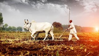 Happy Kisan Diwas status video 2020| Happy National farmers day whatsapp status song | kisaan day