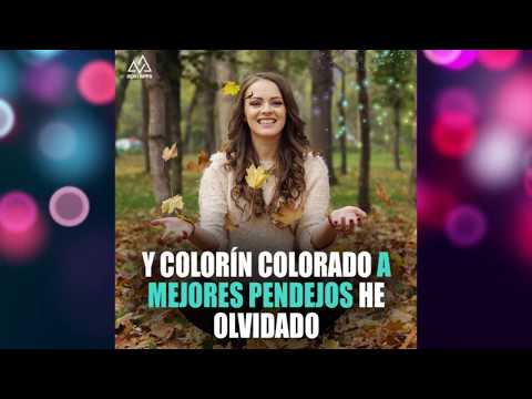 Indirectas para mi ex Video