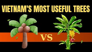 VIETNAM'S MOST USEFUL TREES: COCONUT AND BANANA