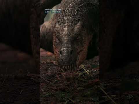 ¿Quién está preparado para sobrevivir?