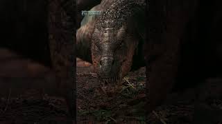 ¿Quién está preparado para sobrevivir?