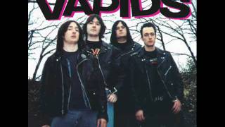 The Vapids - Ain't Got No Sense  (Teenage Head cover)