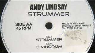 Andy Lindsay - Strummer (2001)